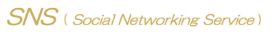 ソーシャルネットワーク